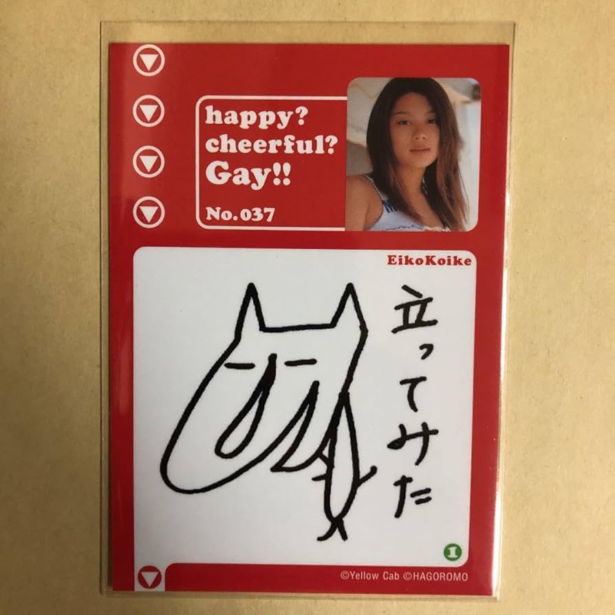 小池栄子さん トレカ3枚セット カード 1枚状態難 小池栄子さん トレカ3枚セット カード 1枚状態難 Amazon.co.jp: 183-